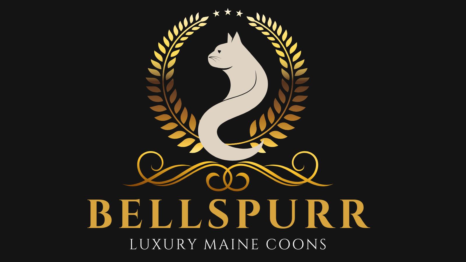 Bellspurr Maine Coons